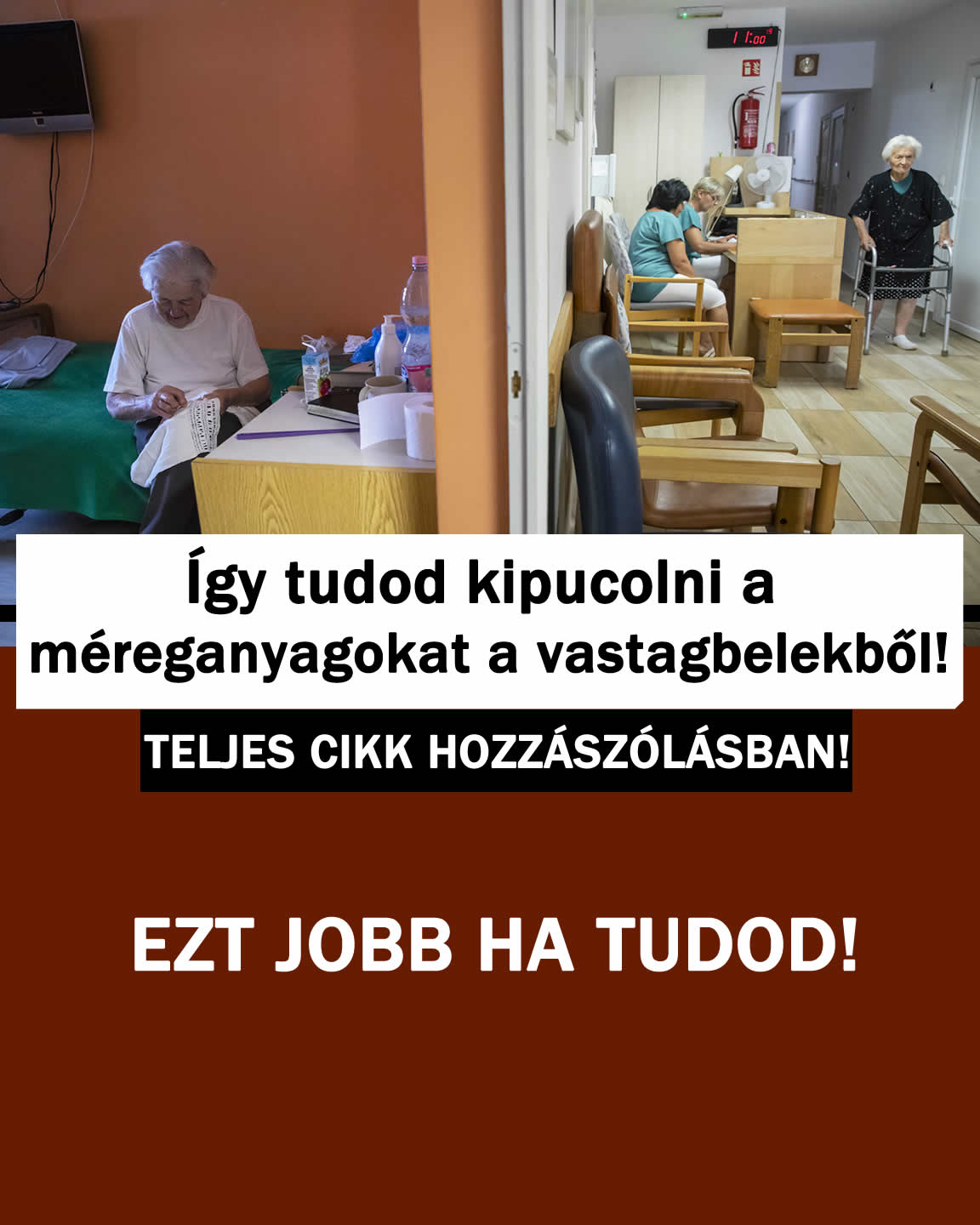 Így tudod kipucolni a méreganyagokat a vastagbelekből!