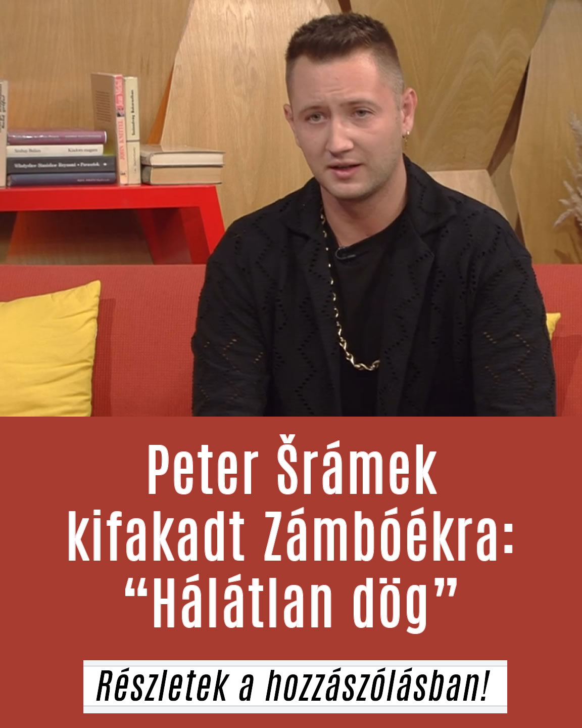 Peter Šrámek kifakadt Zámbóékra: „Hálátlan dög”