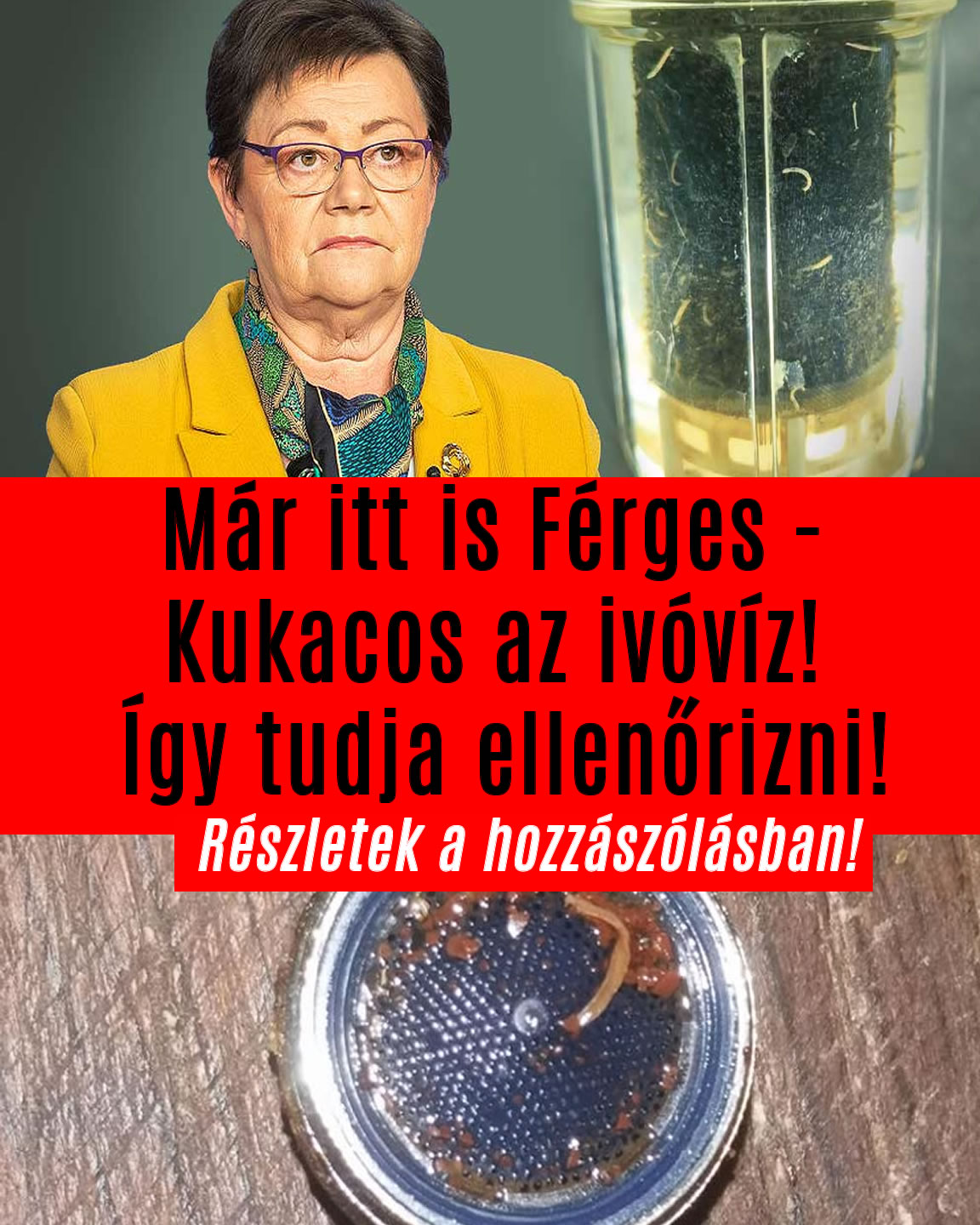 Már itt is Férges – Kukacos az ivóvíz! Így tudja ellenőrizni!