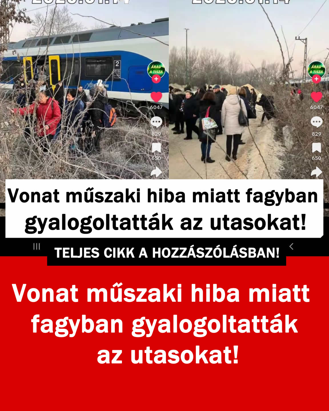 Vonat műszaki hiba miatt fagyban gyalogoltatták az utasokat!