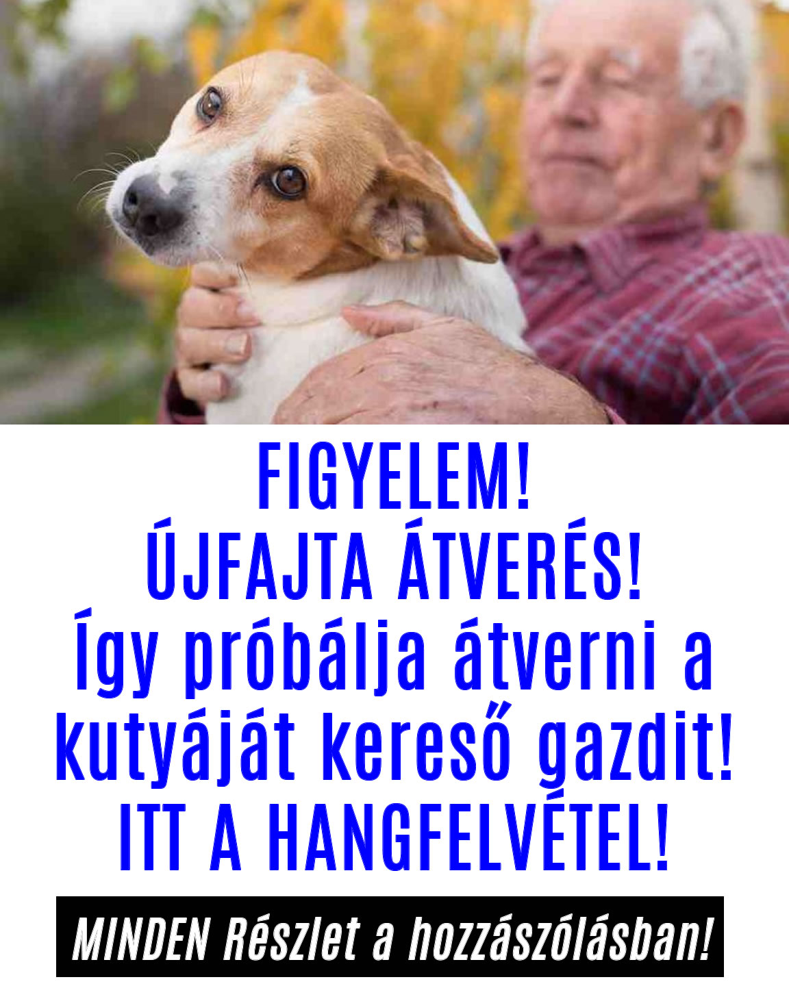 Így próbálja átverni a kutyáját kereső gazdit! + HANGFELVÉTEL!