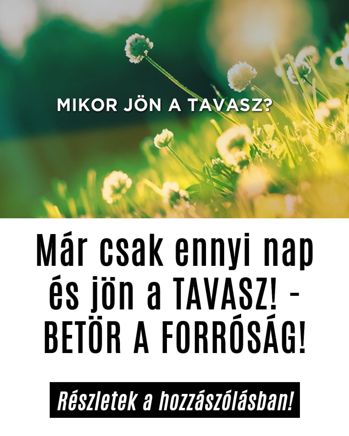 Már csak ennyi nap és jön a TAVASZ! – BETÖR A FORRÓSÁG!