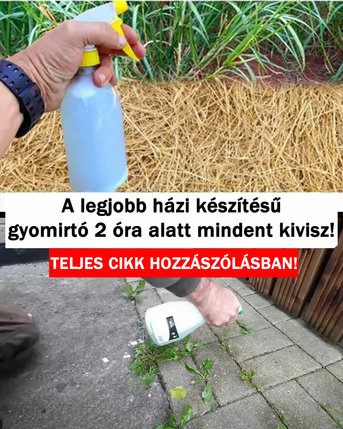 A legjobb házi készítésű gyomirtó 2 óra alatt mindent kivisz!
