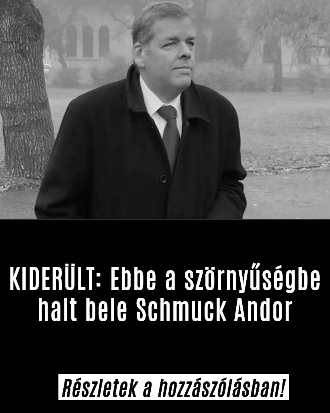 Ebbe a szörnyűségbe halt bele Schmuck Andor