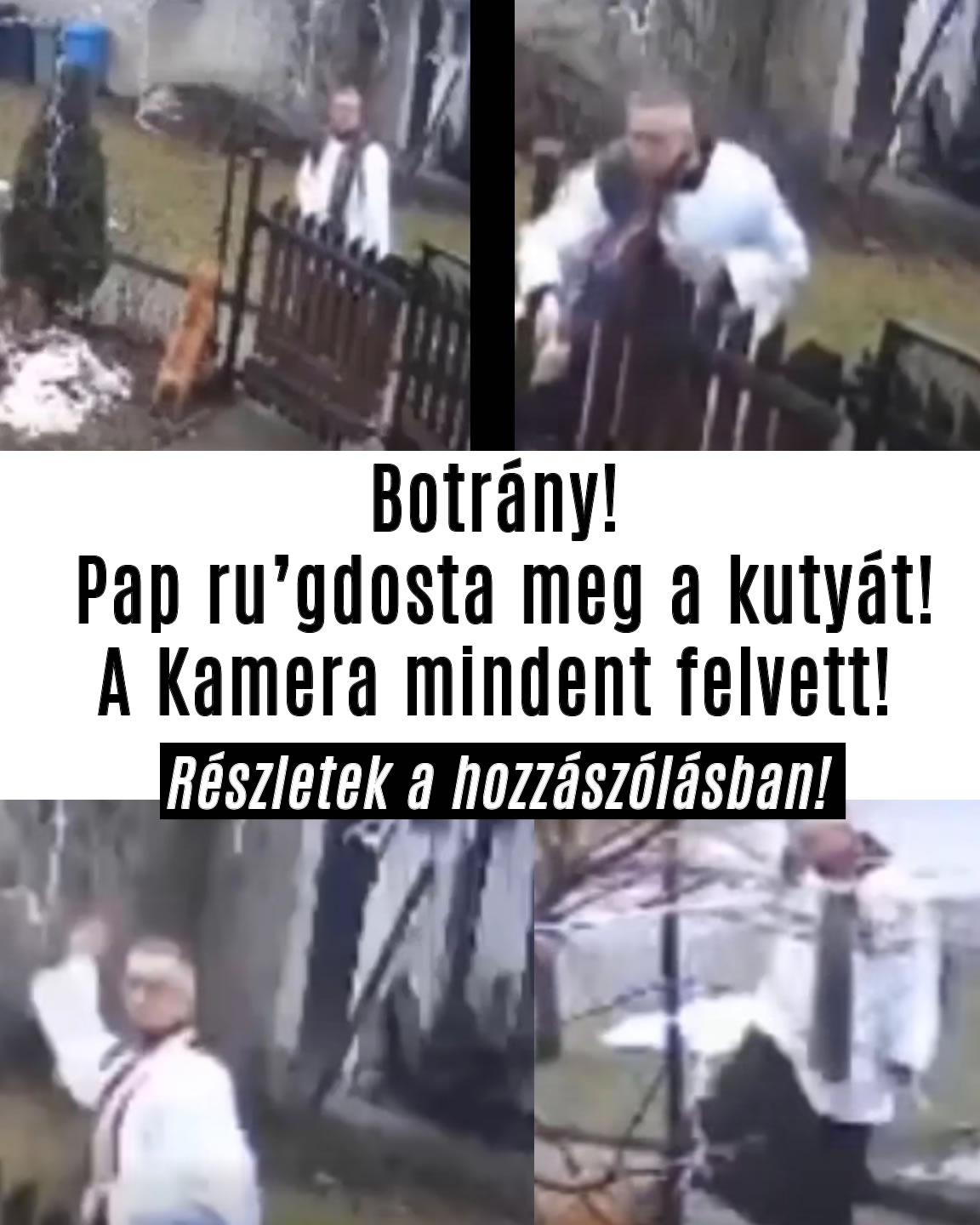 Botrány! Pap r/gdosta meg a kutyát!