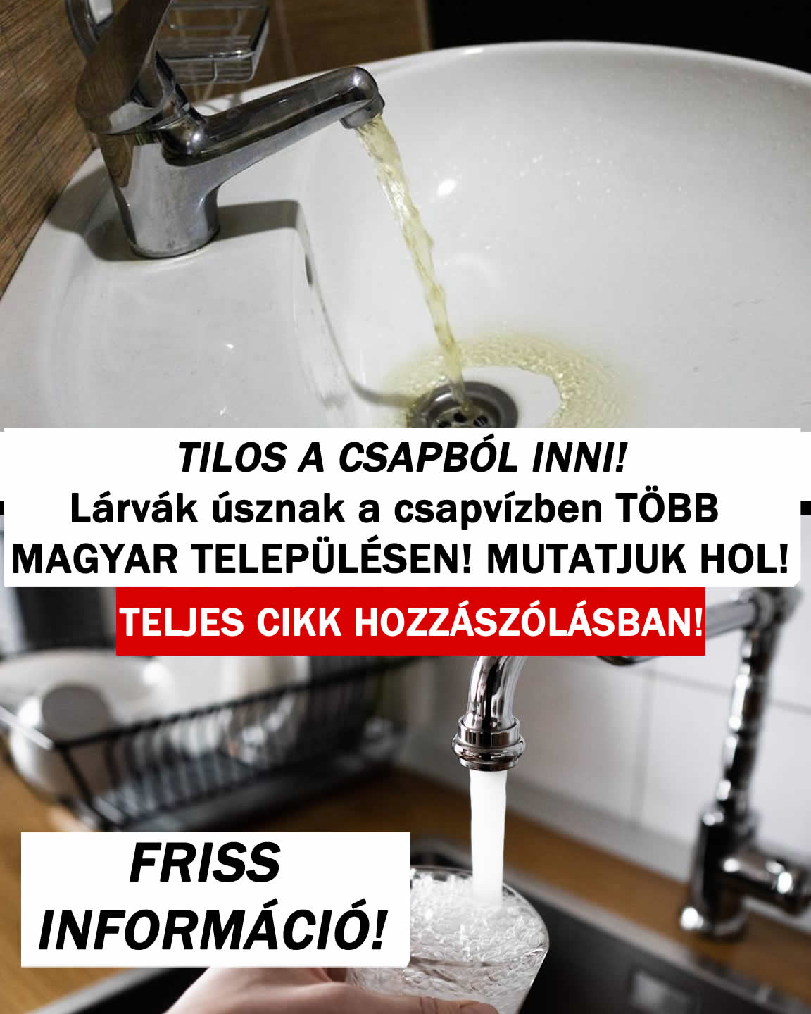 TILOS A CSAPBÓL INNI! Lárvák úsznak a csapvízben!