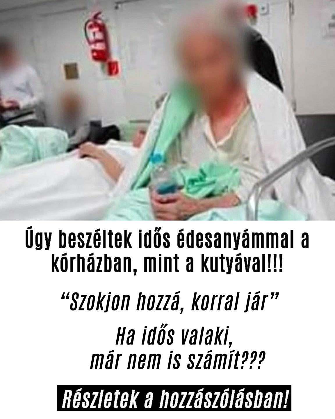 Úgy beszéltek idős édesanyámmal a kórházban, mint a kutyával