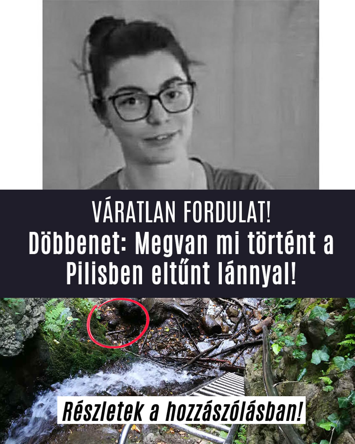 Döbbenet: Megvan mi történt a Pilisben eltűnt lánnyal!