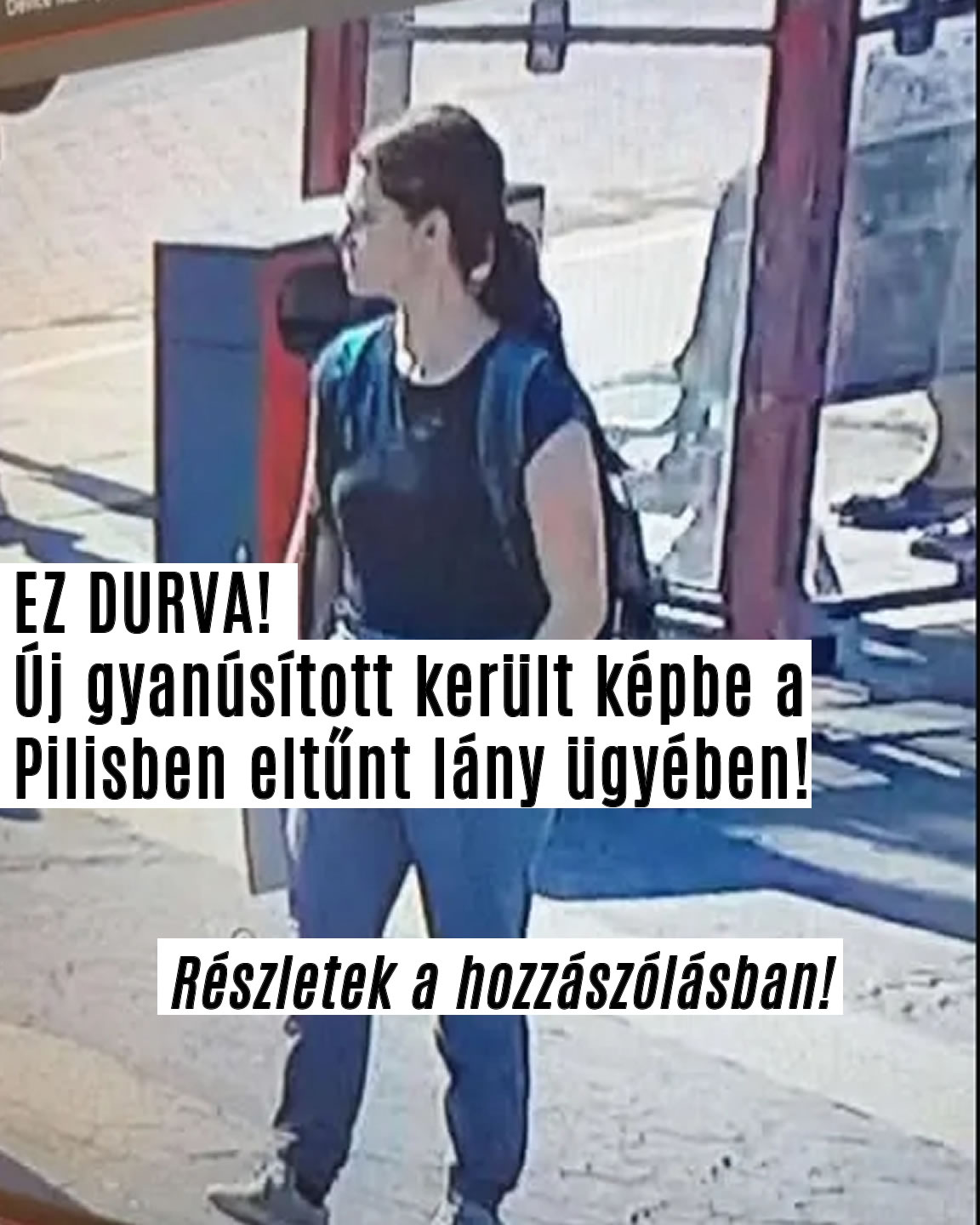 Új gyanúsított került képbe a Pilisben eltűnt lány ügyében!