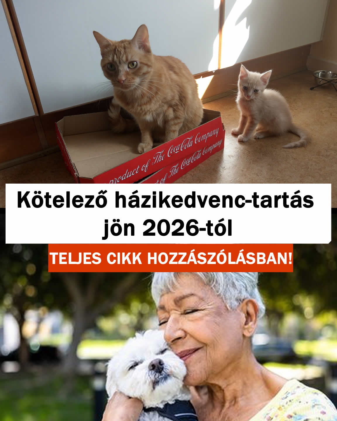Kötelező házi kedvenc tartás jön 2026-tól EZT KELL TUDNI: