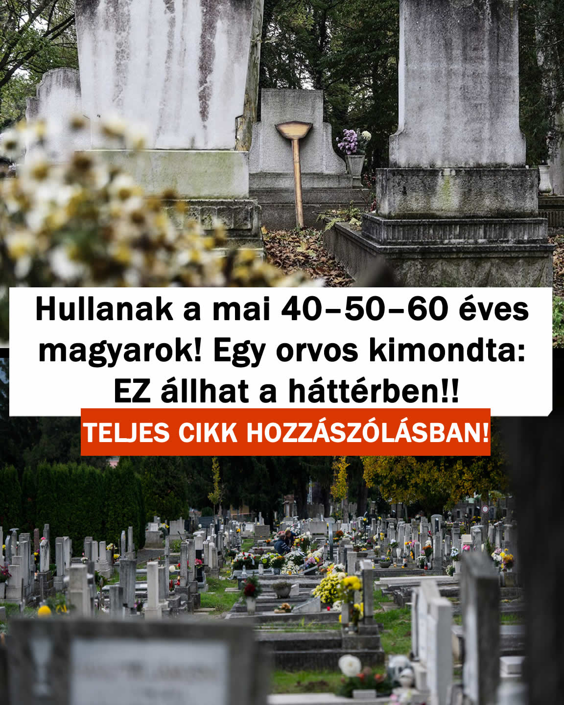 Hullanak a mai 40–50–60 éves magyarok! Orvos kimondta: