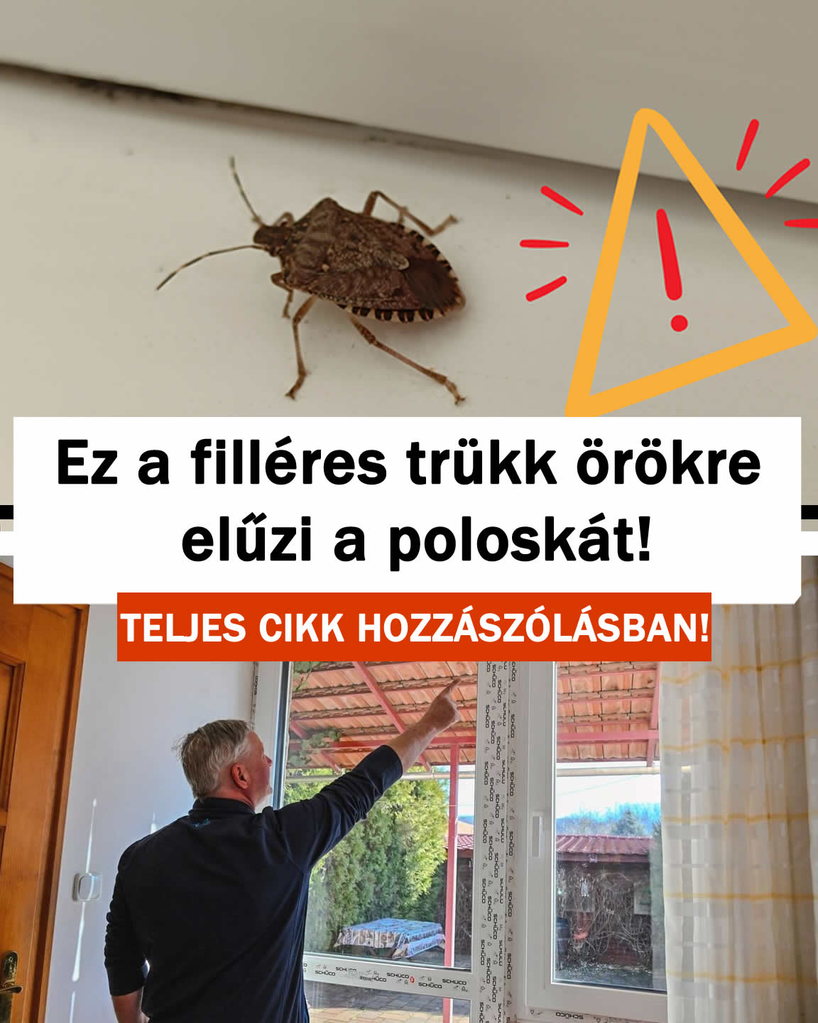 Ez a filléres trükk örökre elűzi a poloskát