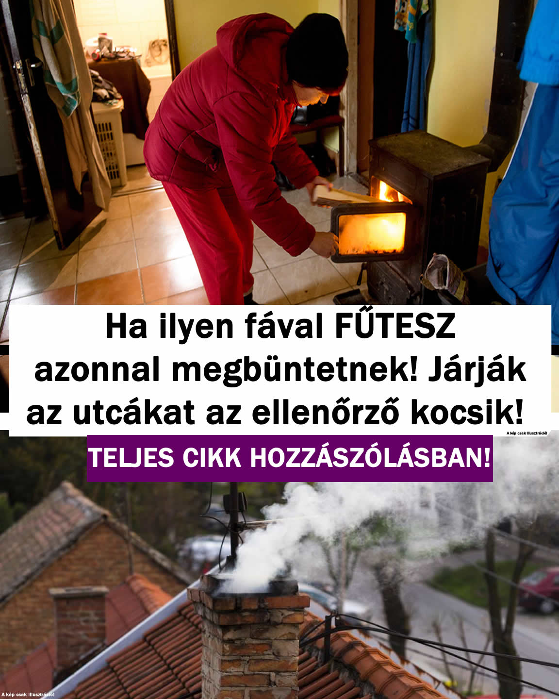 Ha ilyen fával FŰTESZ azonnal megbüntetnek!