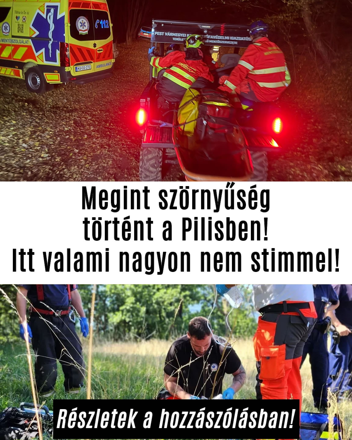 Megint borzasztó dolog történt a Pilisben!