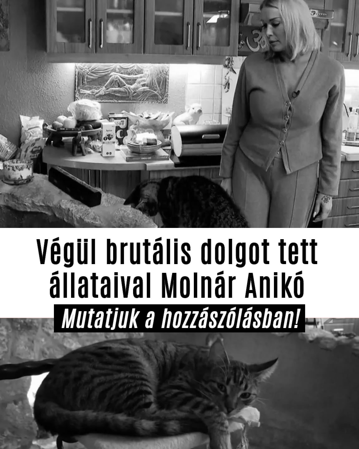Végül brutális dolgot tett állataival Molnár Anikó