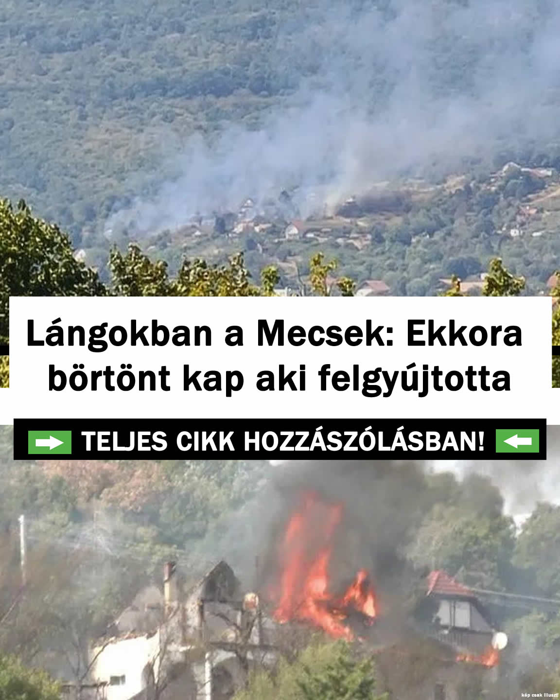 Lángokban a Mecsek: Ekkora börtönt kap aki felgyújtotta