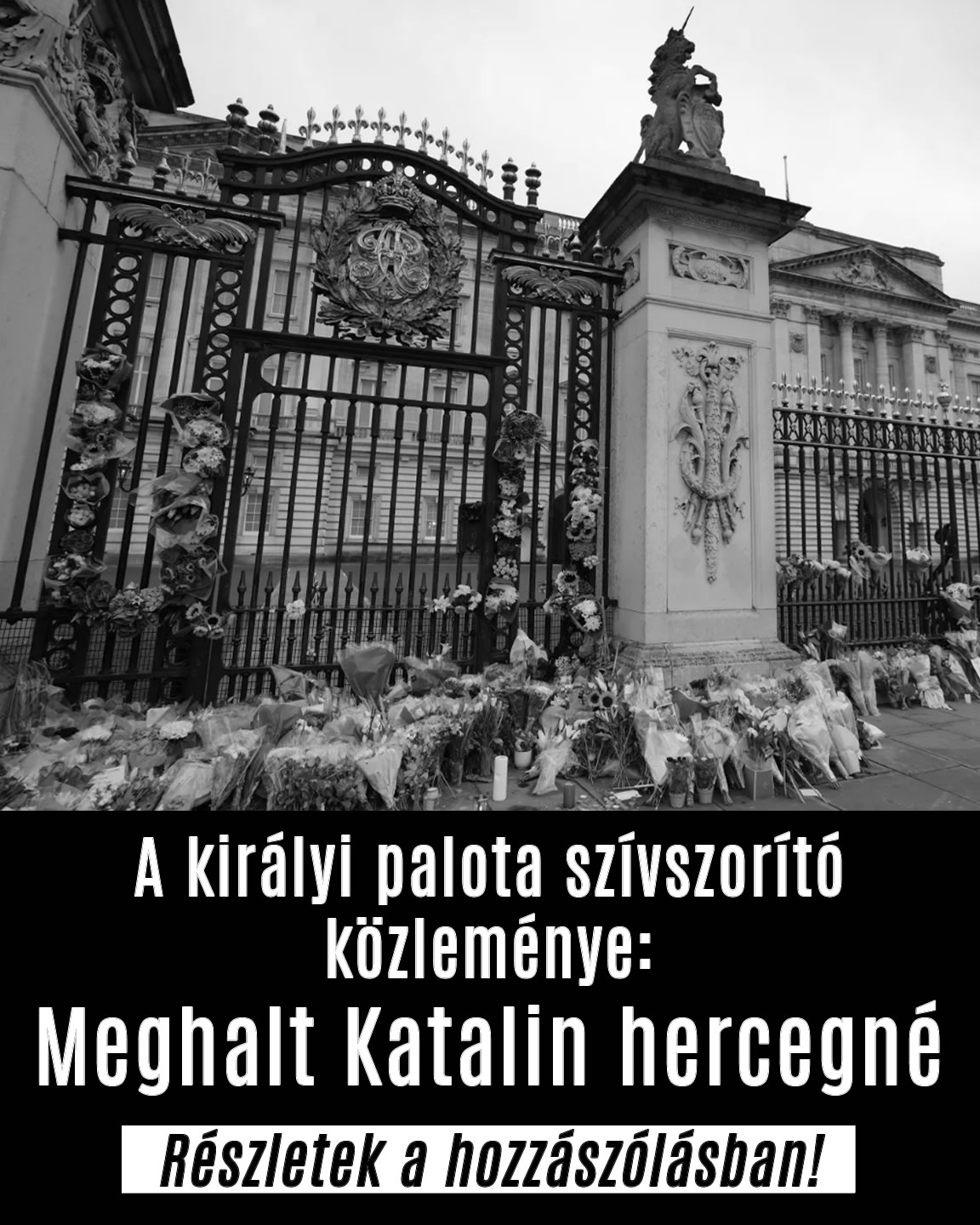 Meghalt Katalin hercegné