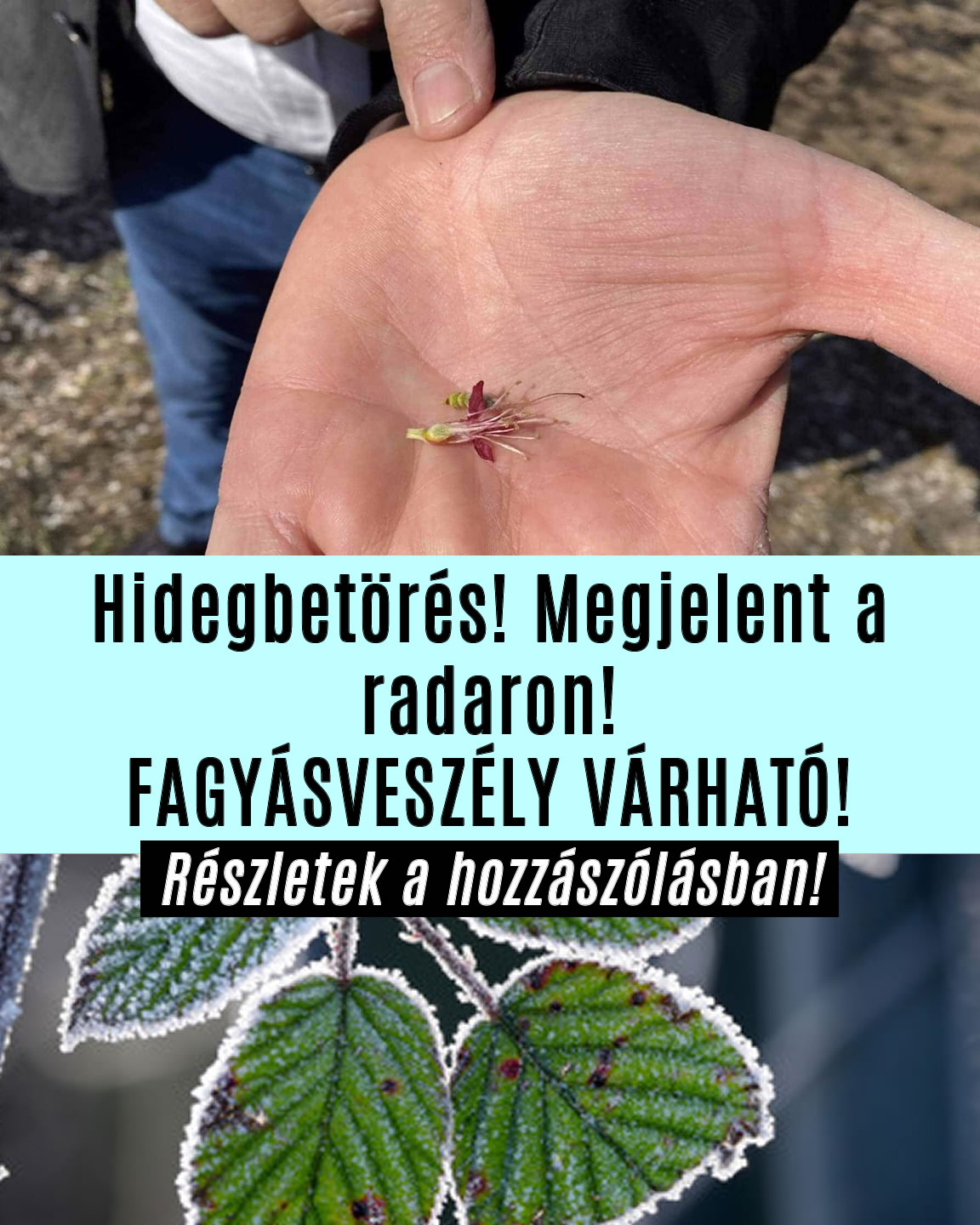 Hidegbetörés! Megjelent a radaron!