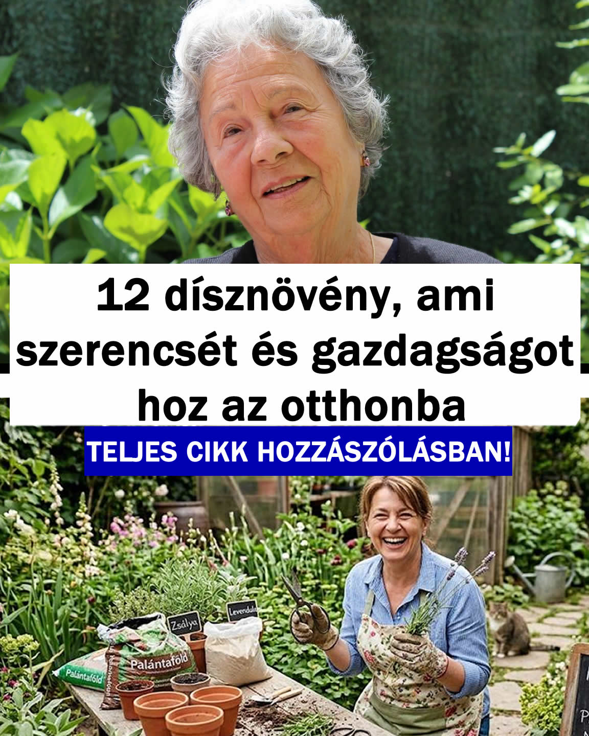 12 dísznövény, ami szerencsét és gazdagságot hoz az otthonba