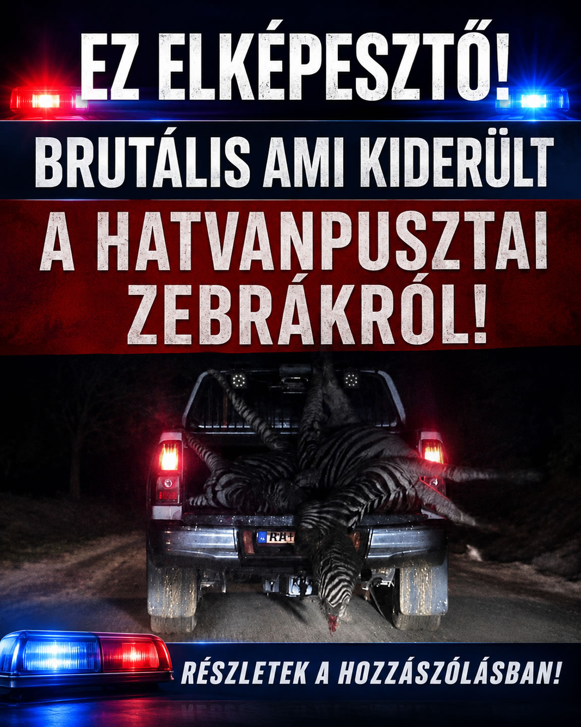 Brutális ami kiderült a hatvanpusztai zebrákról